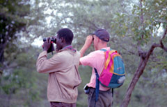 Birding in Africa