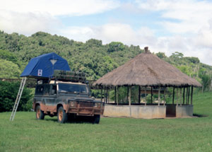 Pygmy Termite Mound