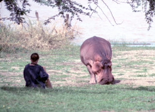 Fiona and Hippo