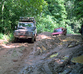 Truck and Toyota Stout